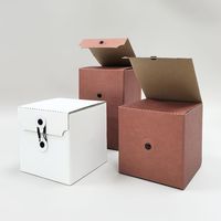 Boîte cadeau RUNWELL avec logo personnalisé, écologique, réutilisable, pour sachets de thé ou de café, style dossier, papier kraft, emballage de luxe, échantillon gratuit
