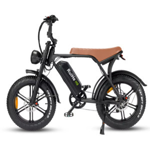 H9: Nuevo diseño de bicicleta eléctrica de neumáticos gordos Ruihe 20 pulgadas bicicleta eléctrica gorda 1000W ebike hip e-bike - Product Image 2