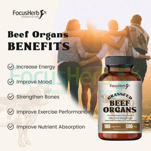 Cápsulas FocusHerb de Órganos de Res Alimentado con Pasto 5 en 1 (Hígado, Corazón, Riñón, Páncreas, Linfático) para Apoyo Inmunológico - Product Image 5