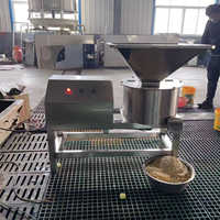 Tamarinde Fruit Kersen Mango Guave Pulpmachine Sapcentrifuge Crusher 380V Motor Hoge Productiviteit Fruit Sap Verwerkingsinstallatie