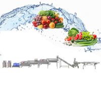 Laveuse de légumes à rouleaux brossés LWT pour le nettoyage et le pelage des choux-fleurs, du gingembre, du manioc, des radis – Machine de traitement des aliments et des fruits