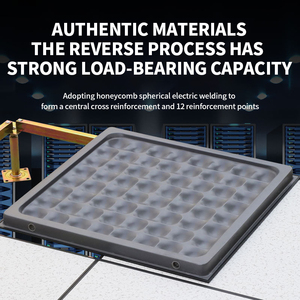 Trung Quốc thép xi măng lớn lên truy cập tầng xi măng chống tĩnh lớn lên sàn - Product Image 5