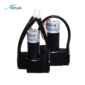 YW29-BLDC-B 12V 24V High Flow 12L/min 2Bar 0.2Mpa 30PSI Dual Head Brushless Motor Air Pump Vacuum Diaphragm Pump High Pressure