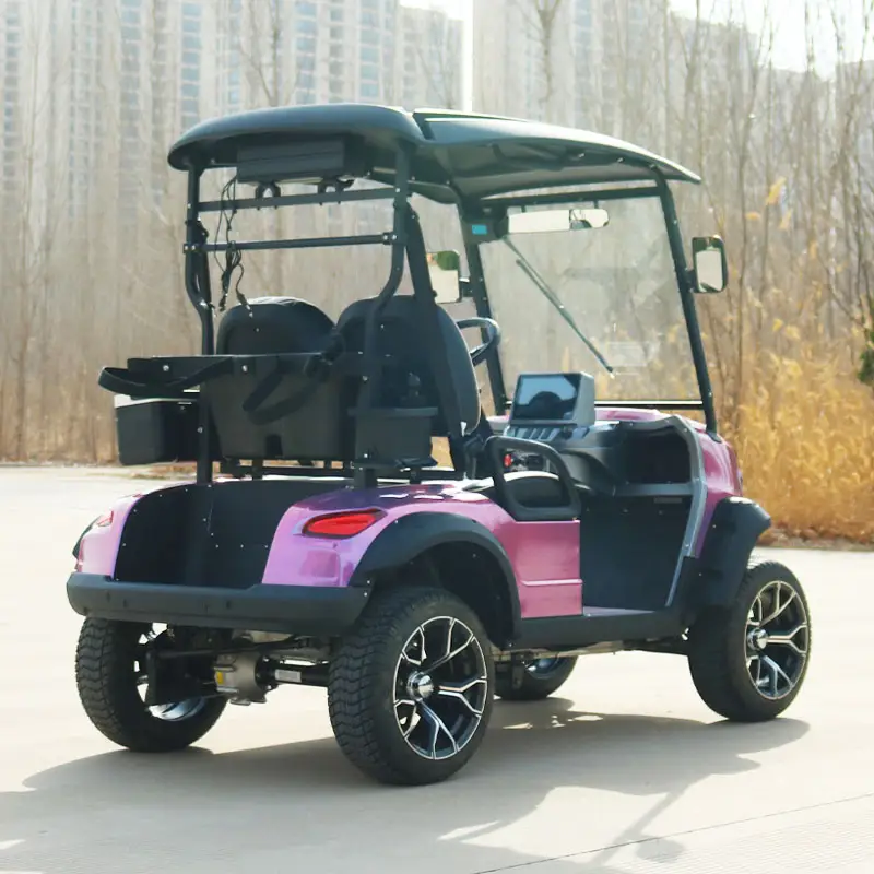 Street Legal Custom 2/4/6/8 Seater Lithium Battery Electric Utility Golf Cart Carro De Golf Electrico