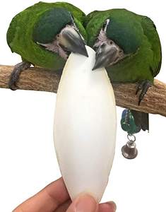 12 supports d'os de seiche naturels du fabricant accessoires de cage à oiseaux pour soins de santé et suppléments pour perroquets - Product Image 6