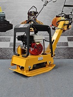 Compacteur vibrant de sol 160 kg réversible diesel/essence avec plaque de compactage haute efficacité pour routes