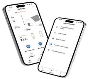 High-Power Solar Energy Storage <b>Battery</b> Cabinet 30KWH <b>48V</b> 51.2V Home <b>Battery</b> Power Storage System - Product Image 6