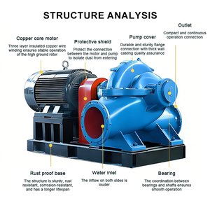 Horizontal Single Stage High Head Irrigation Industrial Water <b>Pump</b> Centrifugal Mid Center Double <b>Suction</b> Cast Iron Double Suctio - Product Image 2