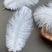 Plumes d'autruche blanches de qualité supérieure, plumes colorées pour accessoires de scène, décoration de mariage, décoration Internet
