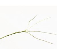 JOF 4 supports 100M 300M 500M boîte d'emballage PE solide matériel de pêche japonais matériel de pêche JOF ligne tressée en polyéthylène