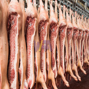 Ligne d'abattage automatique de 300 porcs, équipement de transformation de la viande de porc pour l'équipement de <span class=keywords><strong>boucherie</strong></span> - Product Image 5