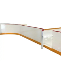 ZSPE Budget-Friendly PE Ice Hockey Dashers Board: Barrières en plastique légères et rentables pour les patinoires communautaires