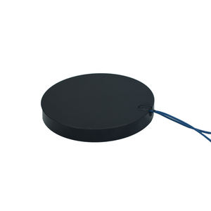 12v 24v 30Kgミニリフティング磁石30kg/300N磁石 - Product Image 4