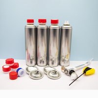Bombe aérosol rechargeable pour désodorisant d'ambiance, format 57*205mm, laquée, vide, 200ml, 350ml, 400ml, en métal, pour la maison