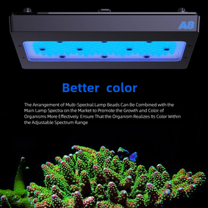 A8se II 240W <span class=keywords><strong>LED</strong></span> Quang Phổ Đầy Đủ Wifi Ứng Dụng Điều Khiển Thông Minh Cho Công Suất Cao San Hô Reef <span class=keywords><strong>Aquarium</strong></span> Chiếu Sáng - Product Image 6