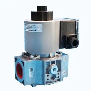 DN15 Lng Gas Uitschakeling Magneetventiel Voor Verwarming Systeem