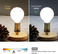 Ampoule à filament LED sphérique en porcelaine givrée Dimmable G45 G16 pour lustre