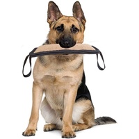 Morsure de chien professionnelle remorqueur grossier chanvre morsure bâton morsure délicate Articulation dents meulage pour la formation