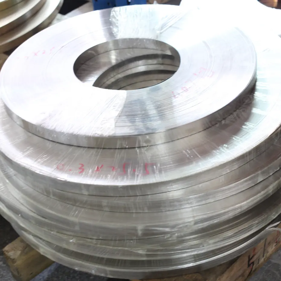OEM çin Dongguan paslanmaz çelik şerit fabrika doğrudan satış
