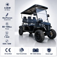 Carrito de Golf Eléctrico de 4 Plazas, Motor de CA de 4.0kW, 60V 100Ah, Negro, Vehículo Utilitario Todoterreno, OEM ODM