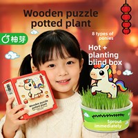 Kotak Kebahagiaan Tanaman Tahun Baru, Tanaman Pot Kecil, Hadiah untuk Siswa TK dan SD, Festival Musim Semi, Miniatur untuk Meja