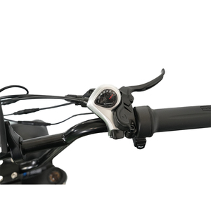 Vélo de montagne électrique de style nouveau pour adultes, vélo électrique puissant avec assistance au pédalage, écran LCD - Product Image 4