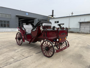 Carruajes Reales al por Mayor a Precio de Fábrica, Carruaje Eléctrico sin Caballos de Cenicienta, Vagón de Paseo Turístico de Princesa, Xuchang - Product Image 2