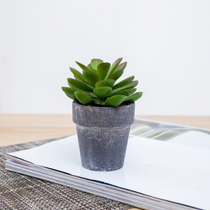 <span class=keywords><strong>Pas</strong></span> cher en gros mini <span class=keywords><strong>cactus</strong></span> extérieur assortiment d'intérieur arrangement artificielle plantes succulentes en pot ensemble - Product Image 3