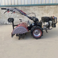 Motoculteur Compact Agricole Professionnel et Domestique, Mini-Tracteur à Marche, Cultivateur