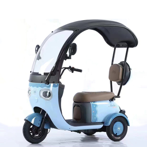 2023 populaire trois roues Tricycle vélo <span class=keywords><strong>électrique</strong></span> Vintage Scooter 3 roues Cargo Ebike <span class=keywords><strong>avec</strong></span> <span class=keywords><strong>toit</strong></span> - Product Image 6