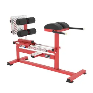 Salle de fitness Offre Spéciale utiliser une machine de musculation salle de gym commerciale utiliser une chaise romaine professionnelle