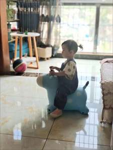 2023 Safe and Cheap Inflatable Pvc Toy Jumping <b>Animals</b> Ride on Toy <b>Animals</b> <b>Animal</b> Bounce <b>Hoppers</b> YOUR LOGO - Product Image 6