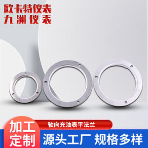 Flanges axiales en acier inoxydable remplies d'huile fournies par le fabricant 40 mm 50 mm 63 mm 100 mm Flanges plates - Product Image 3