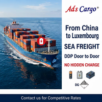 Transitaire maritime DDP de Chine vers le Luxembourg pour batterie à flux redox au vanadium avec double dédouanement, taxes incluses