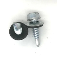 Vis de toiture en acier métallique avec rondelle hexagonale vis auto-perforantes pour panneaux sandwich