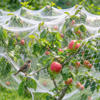 Filet anti-oiseaux durable pour la protection des étangs, des fermes avicoles, des terrasses, des jardins, des ruches, des colombiers, des vergers d'olives, de pommiers et de figuiers