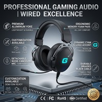 Casque de jeu sans fil 2,4 G étanche avec éclairage RGB, faible latence, conception supra-auriculaire, chargement Type-C pour PC (ODM/OEM)