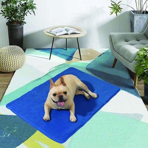 Hot Selling Summer <span class=keywords><strong>Cooling</strong></span> Hunde matte PVC-<span class=keywords><strong>Gel</strong></span> matte mit festem Muster, um Haustiere im modernen Stil kühl zu halten - Product Image 3