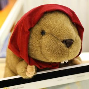 Llavero de Peluche de <span class=keywords><strong>Marmota</strong></span> Chillona, Divertido y Lindo Muñeco de Peluche de <span class=keywords><strong>Castor</strong></span> con Bufanda, Juguete de Roedor Suave y Agradable para Decorar Bolsos - Product Image 4