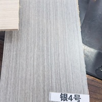 Peau de porte décorative en panneau MDF lisse pour porte intérieure, appartement, hôtel, chambre