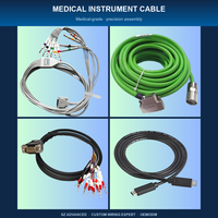 Rangkaian Kabel Harness Kelistrikan Berkualitas Tinggi OEM dengan Isolasi PBT untuk Komputer/Elektronik/Mesin IP66