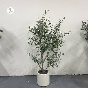 Venta al por mayor decoración del hogar Planta artificial seca eucalipto flor seca en maceta inmortal hoja de eucalipto artificial bonsái - Product Image 2