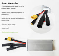Kit de conversion de vélo électrique avec moteur 36V 250W/350W pour roue avant/arrière, batterie au lithium, écran LCD, porte-bagages arrière et accélérateur à pouce