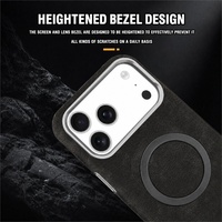 Étui de téléphone professionnel anti-chute en cuir magnétique électroplaqué C0245 pour iPhone 17 Air 18 Pro Max 16 15 14 13 12 Pro