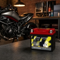 Batterie de moto RDJLZ21L-LP 12V 24Ah LiFePO4, batterie au phosphate de fer et de lithium LFP pour les petits cyclomoteurs, scooters et motos