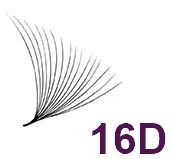 16D