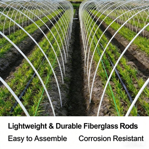 ग्रीनहाउस सुरंग फ्रेम ग्लास फाइबर रॉड उच्च शक्ति संयंत्र ढेर छोटे कृषि ग्रीनहाउस फ्राप - Product Image 2