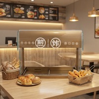 Équipement de chauffage alimentaire facile à utiliser RKMF-T2B, armoire de présentation isolante pour aliments frits