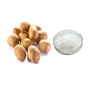 Dioscorea oppsite ngón tay cái chiết xuất Dioscorea Hoang Dã <span class=keywords><strong>Yam</strong></span> chiết xuất bột <span class=keywords><strong>diosgenin</strong></span> 20% 6% - Product Image 1