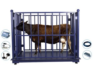 碳钢汽车称重秤动物牲畜称重秤动物秤2000千克 - Product Image 3